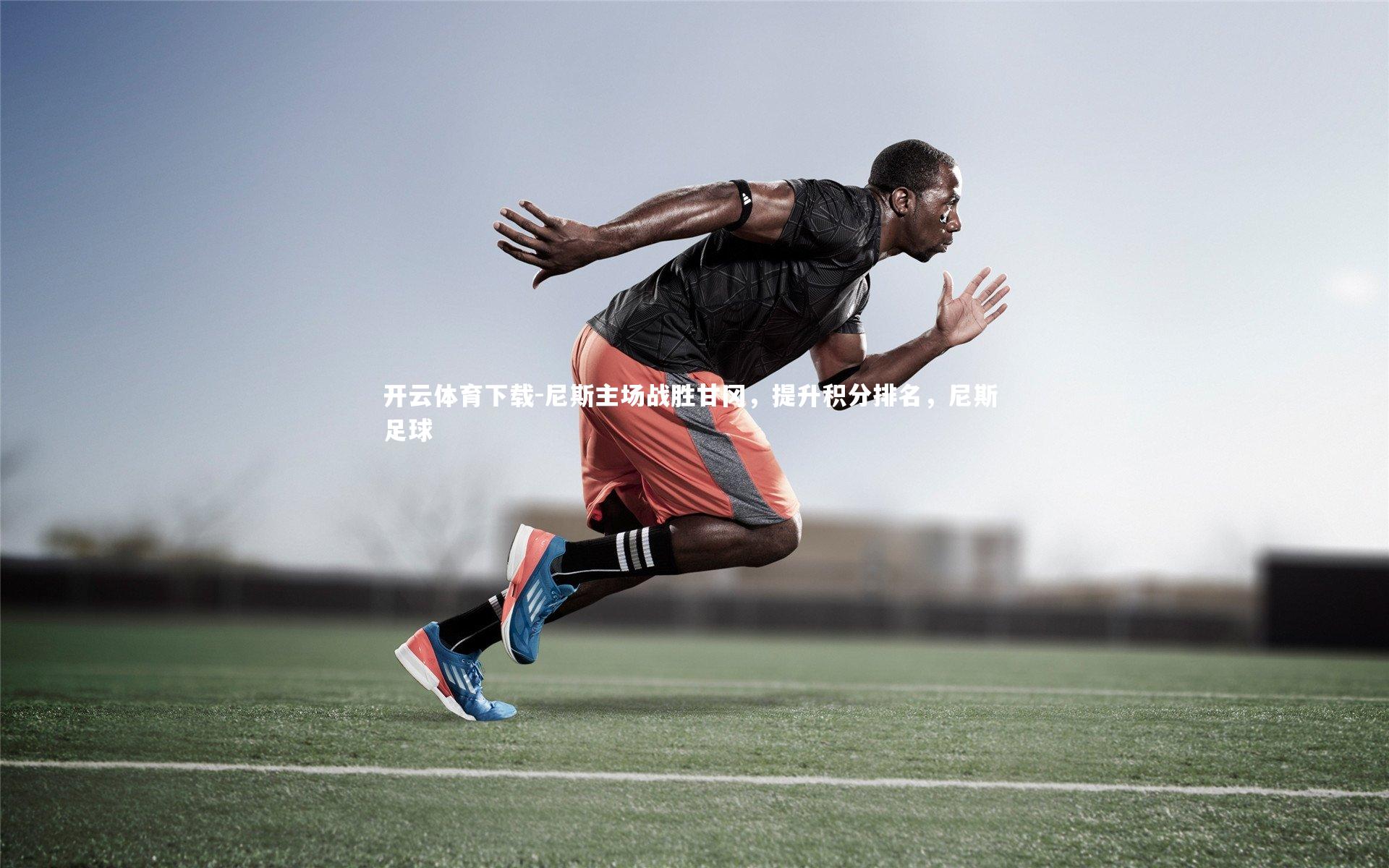 开云体育下载-尼斯主场战胜甘冈，提升积分排名，尼斯 足球