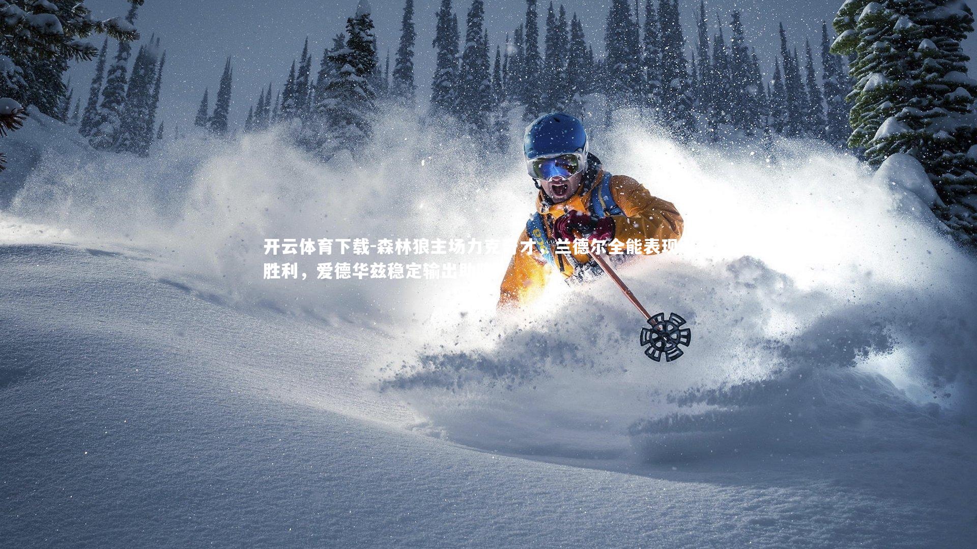 森林狼主场力克奇才，兰德尔全能表现引领胜利，爱德华兹稳定输出助阵